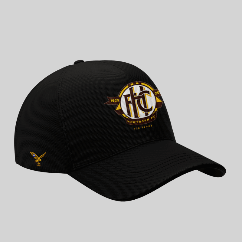 Limited Edition Hawthorn FC Black Hoodie 1925-2025 - Image 4