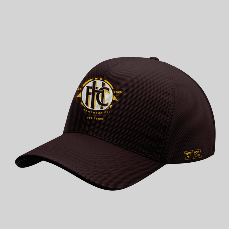 Limited Edition Hawthorn FC Hoodie 2025 - Image 4