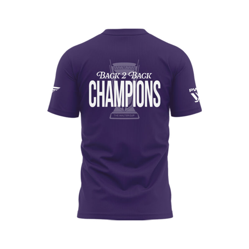 Special 2025 Back 2 Back Champions Minnesota Frost T-Shirt - Purple - Image 3