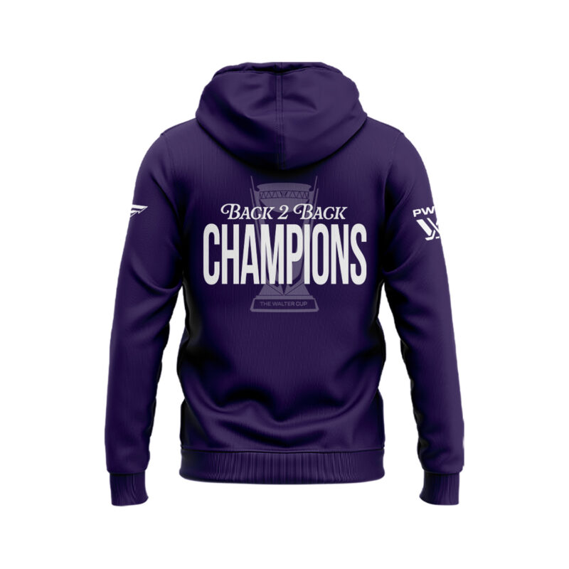 Special 2025 Back 2 Back Champions Minnesota Frost Hoodie - Purple - Image 3