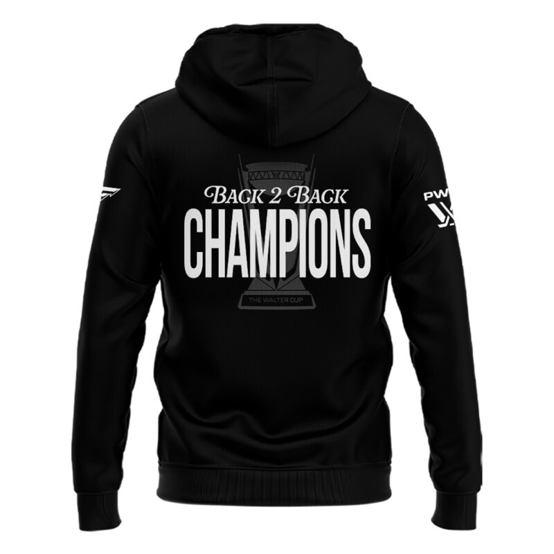 Special 2025 Back 2 Back Champions Minnesota Frost Hoodie - Image 3