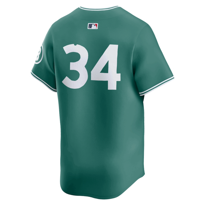 David Ortiz Boston Red Sox Nike 2025 City Connect Limited Retired Player Jersey - Green - Image 3